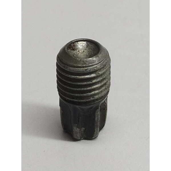 Parafuso Dobradiça Porta Audi A5 2014 