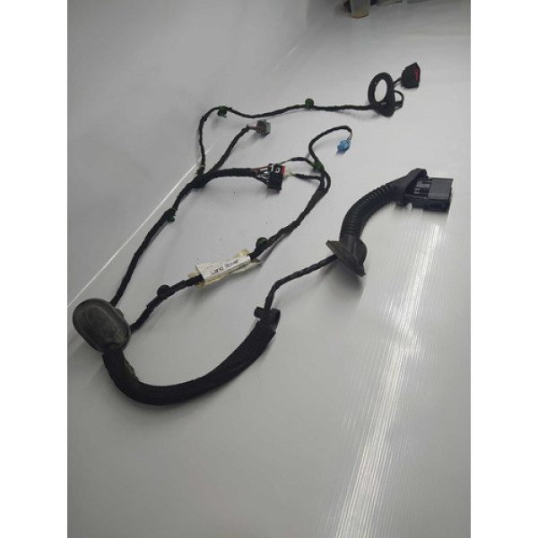 Chicote De Porta Traseira Direita Freelander 2 2008