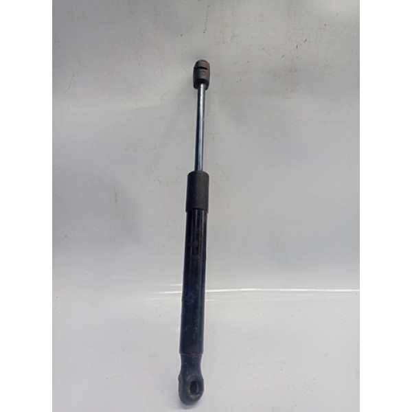 Amortecedor Capô Bmw 118i 2012 1.6