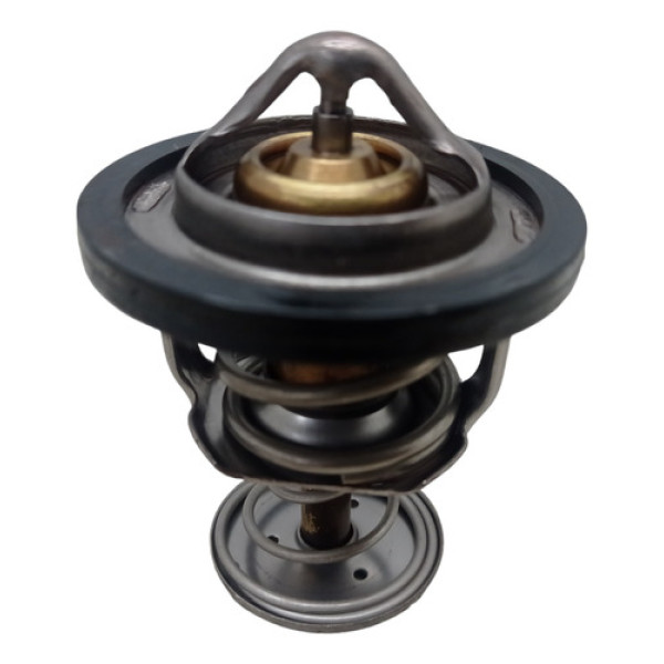 Válvula Termostática Chery Tiggo 5x Txs 2022 1.5 Turbo Aut