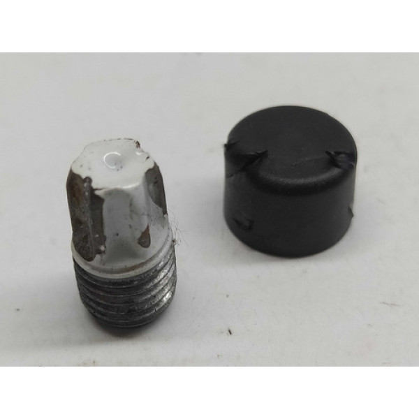 Parafuso Pino Dobradiça Vw Tcross 2020 