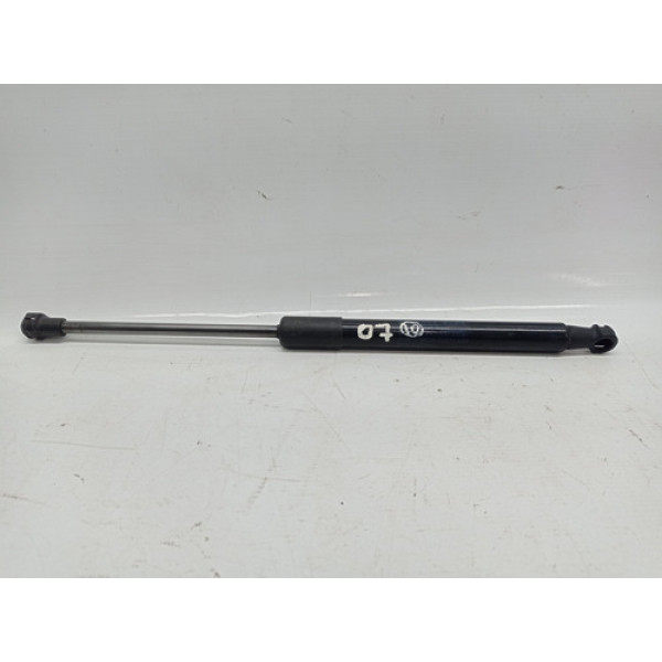 Amortecedor Capô Bmw X6 2015 