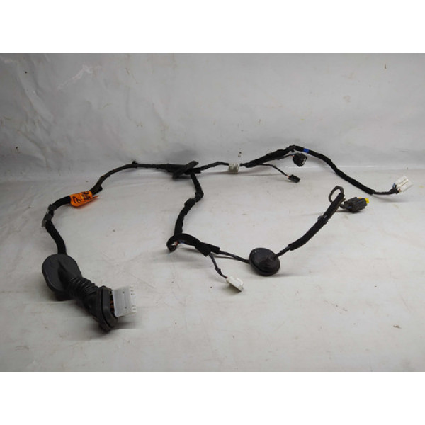 Chicote De Porta Traseira Esquerda Cadenza 2010