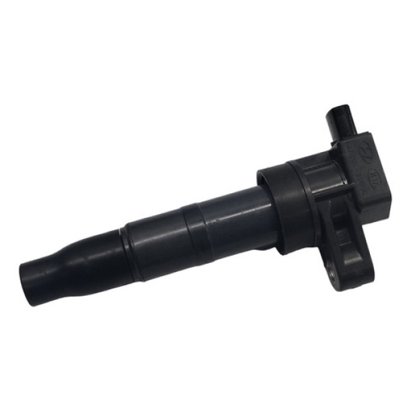 Bobina Ignição Hyundai Santa Fé 2012 3.5 V6